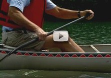 How to Paddle Video