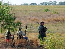 3 hunters in camo waiting at edge of field
