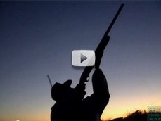 shotgun, hunter profile early morning