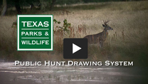 Drawn Hunt Video Still