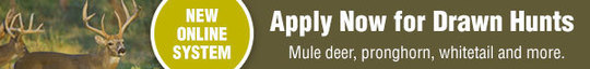 Adv Apply for Drawn Hunts