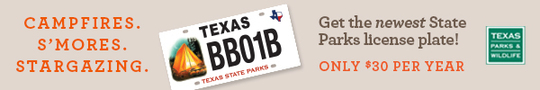 Camping License Plate