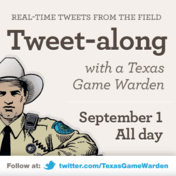 illustration Game Wardens' Tweet-along Sept 1