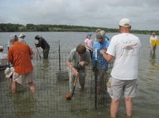 volunteers with tools wading in lake