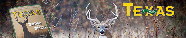 TPW Magazine cover buck in deep grasses