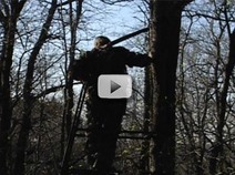 sillouette of person in tree stand