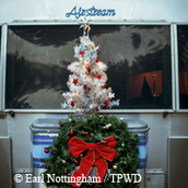 Christmas tree on back of an Airstream trailer