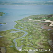 aerial view of coastal wetlands