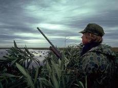 duck hunter in brush by water