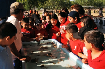 Children at a touch tank with marine animals