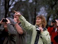3 adults with binoculars. one pointing