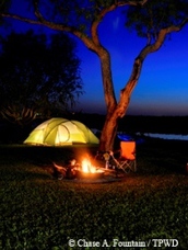 glowing campfire and tent at night
