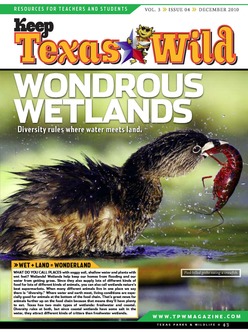 Cover of Keep Texas WILD magazine, a grebe eating a crawfish.