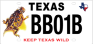 Horned Lizard License Plate