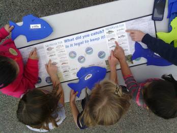 Kids identifying fish.