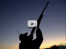 hunter aiming against early morning sky