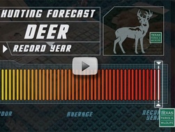 Deer Hunting Forecast Video