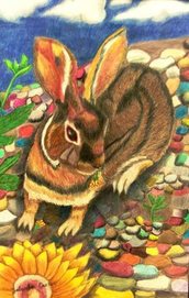 "Sunflower Rabbit" by Yolanda C., age 15