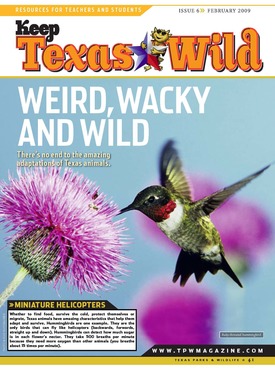 Cover of Keep Texas Wild Mag