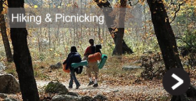 Hiking & Picnicking