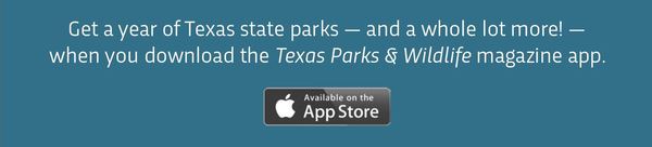 Want More? Get the App!