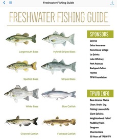 Freshwater Fishing Guide