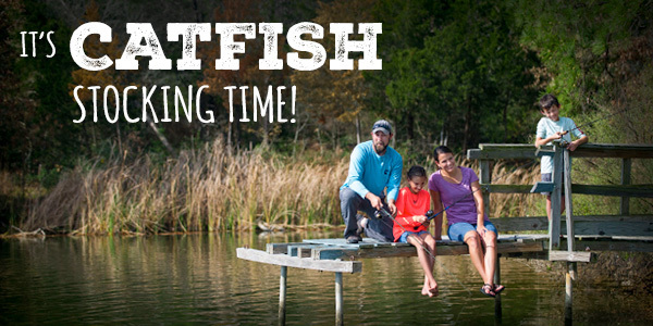 It's Catfish Stocking Time!