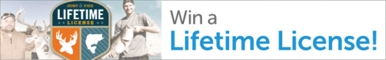 Win a Lifetime License