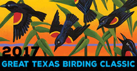 Great Texas birding Classic