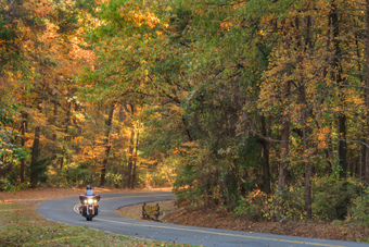 Caddo Lake to Daingerfield State Park