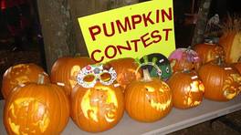 pumpkin contest