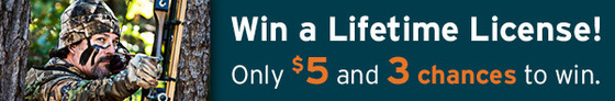 Lifetime License link to a chance to win
