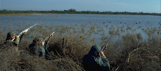 3 waterfowl hunters