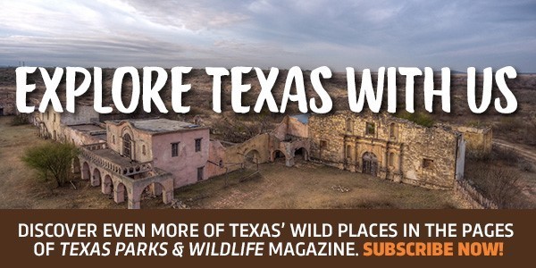 Explore Texas with Us - Subscribe NOW!