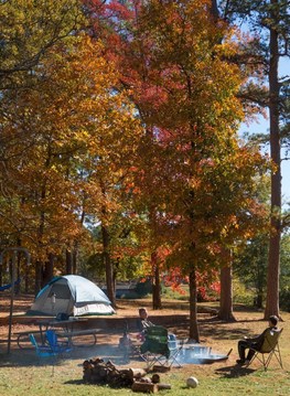 2 men sitting by tent in chairs, under tall trees with fall foliage