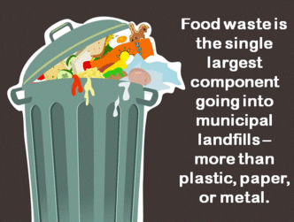 food waste
