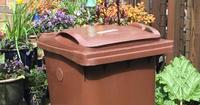 garden bin