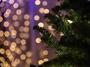Christmas Lights