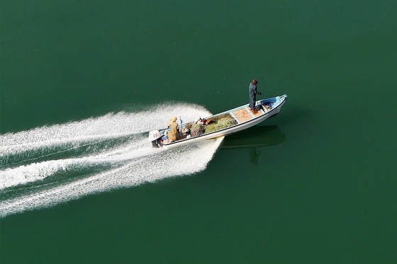 Oman boat 3 to 2 ratio