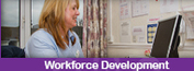 Workforce Development