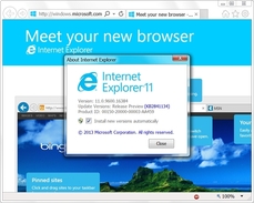 Internet Explorer 11