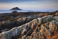 Ranger Walk at Wembury