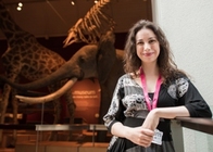 Applying Video Game Principles to RAMM