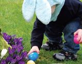 Easter egg hunts
