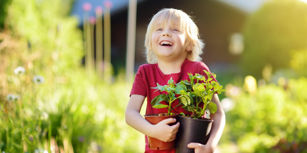 A young boy holding potted plants and smiling widely. The sun is shining.
