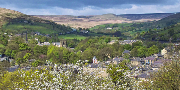 Landscape photo over Marsden village. White flowers in the foreground, buildings and rolling hills in the background.