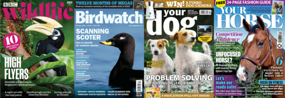 Front covers of four magazines