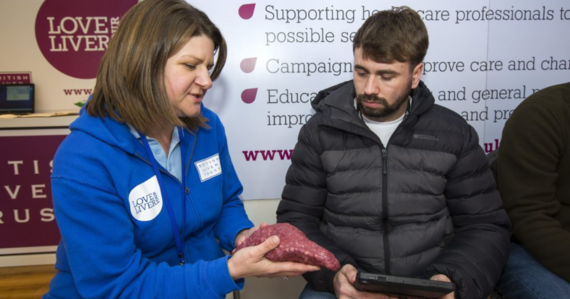 health profession showing member of public a model liver