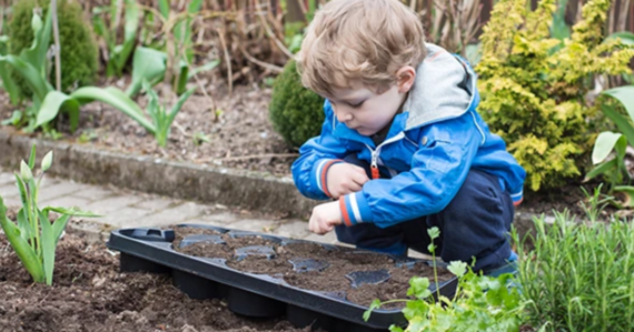 young child looking at herb garden