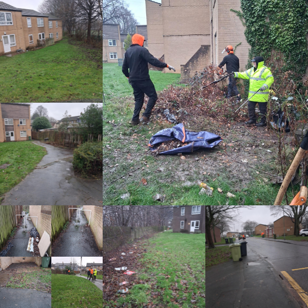 Estate caretaking team photos — Dalton team day